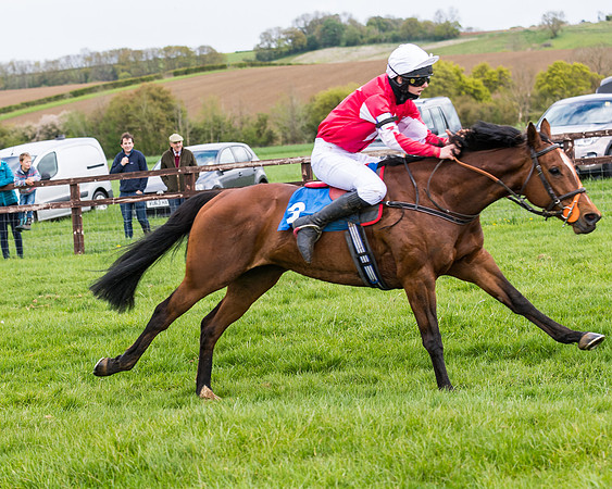 Pony Race 2  (39 of 93)