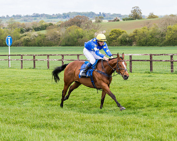Pony Race 2  (40 of 93)