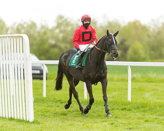 Race 2 - Intermediate (1 of 222)