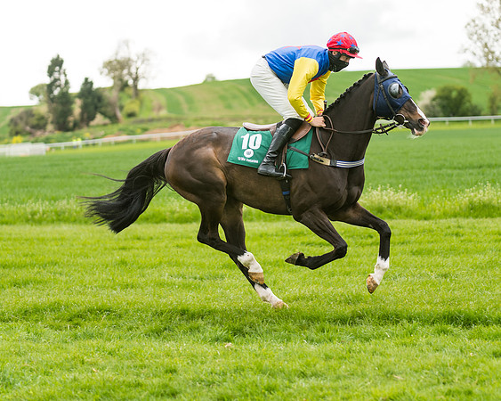 Race 2 - Intermediate (15 of 222)