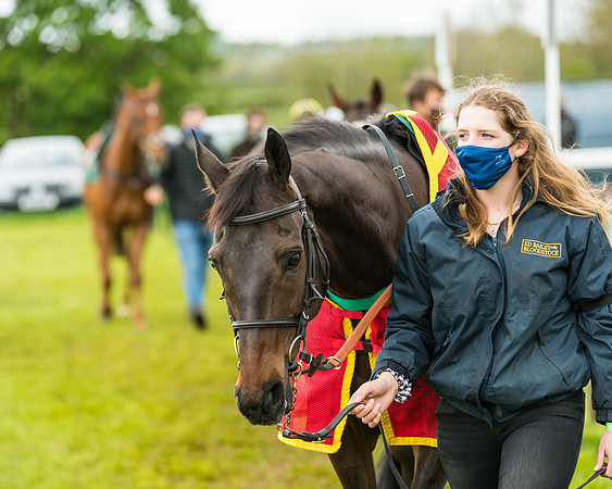 Race 4 - PPORA Novice Riders Final  (6 of 199)