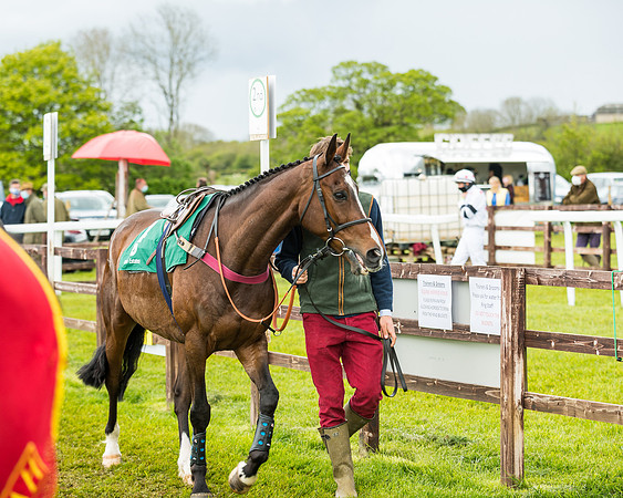 Race 4 - PPORA Novice Riders Final  (24 of 199)
