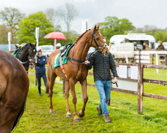 Race 4 - PPORA Novice Riders Final  (27 of 199)