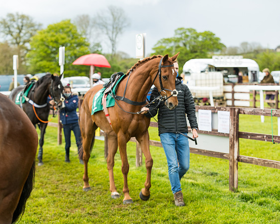 Race 4 - PPORA Novice Riders Final  (28 of 199)