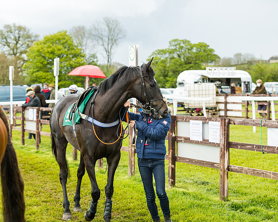 Race 4 - PPORA Novice Riders Final  (32 of 199)