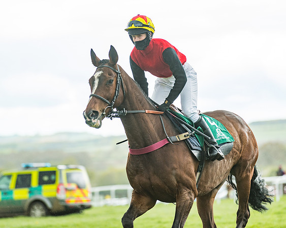 Race 4 - PPORA Novice Riders Final  (57 of 199)