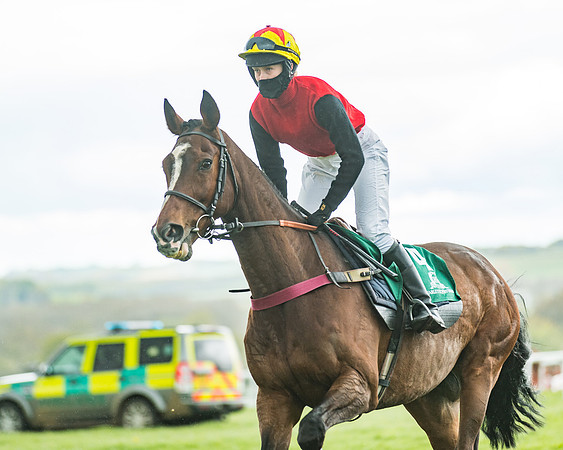 Race 4 - PPORA Novice Riders Final  (58 of 199)