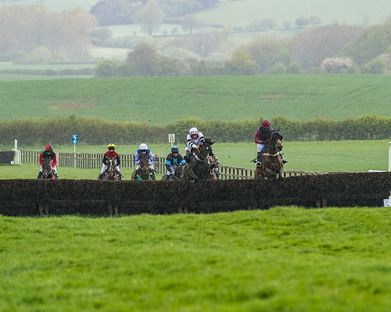 Race 4 - PPORA Novice Riders Final  (81 of 199)