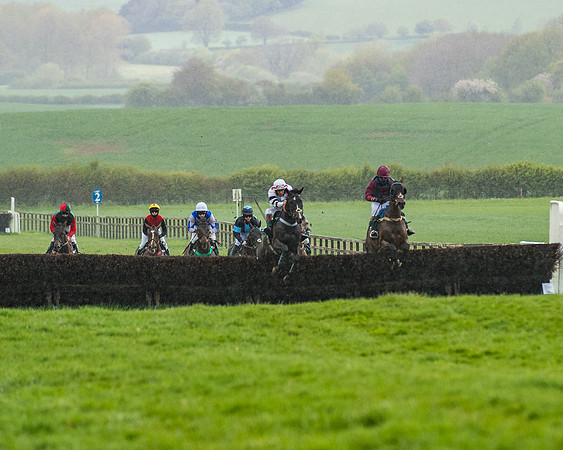 Race 4 - PPORA Novice Riders Final  (82 of 199)