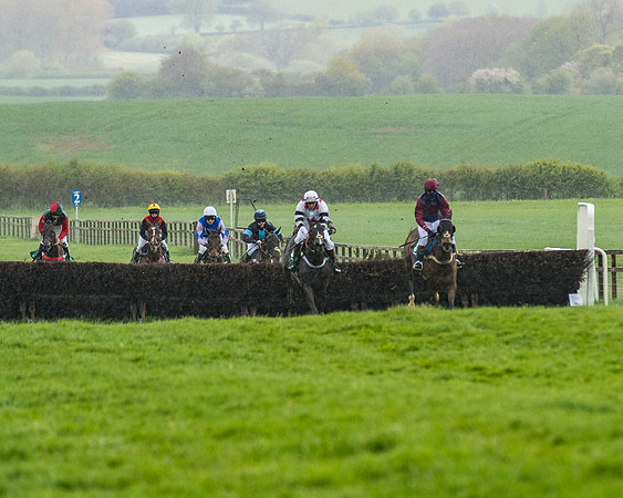 Race 4 - PPORA Novice Riders Final  (85 of 199)