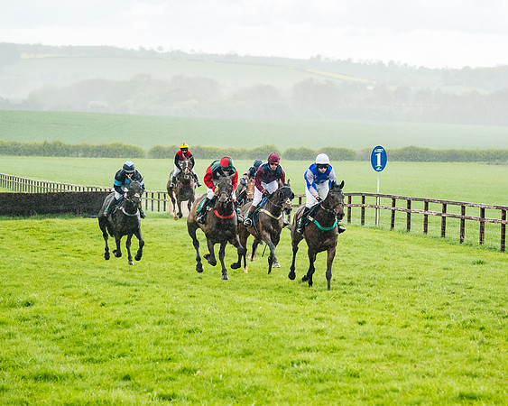 Race 4 - PPORA Novice Riders Final  (105 of 199)