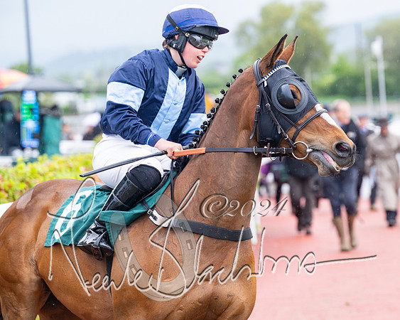Race 5 - Mares Open  (27 of 129)
