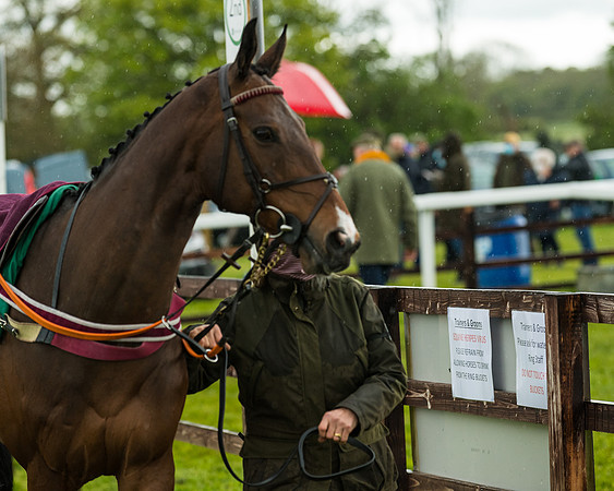 Race 5 - Restricted  (5 of 251)