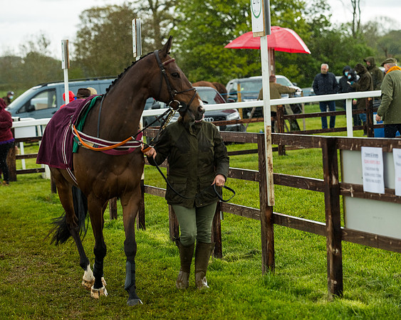 Race 5 - Restricted  (4 of 251)