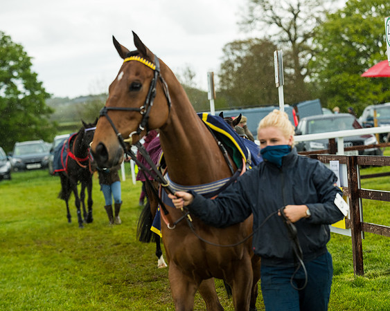 Race 5 - Restricted  (3 of 251)
