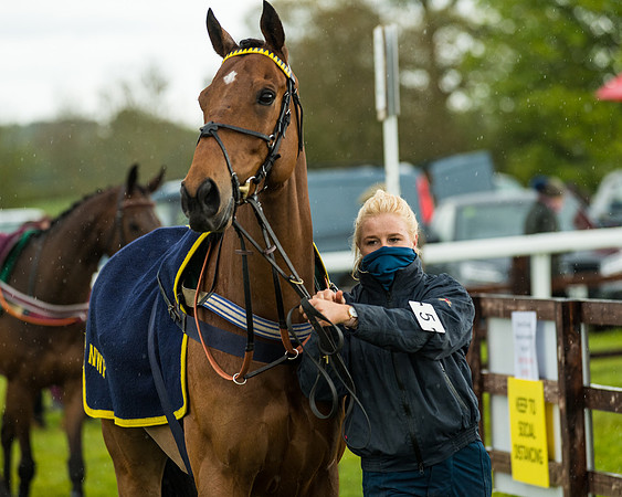 Race 5 - Restricted  (2 of 251)