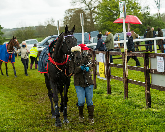 Race 5 - Restricted  (6 of 251)