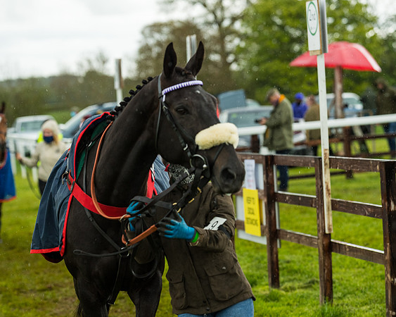 Race 5 - Restricted  (8 of 251)