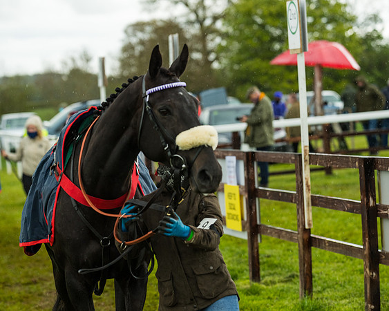 Race 5 - Restricted  (7 of 251)