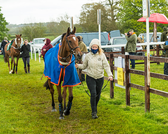 Race 5 - Restricted  (10 of 251)