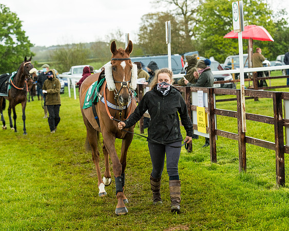 Race 5 - Restricted  (12 of 251)