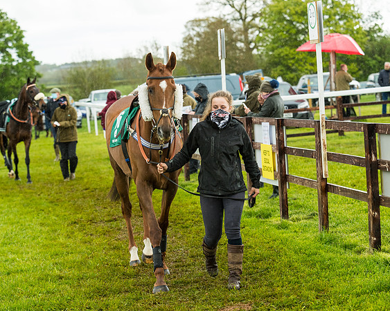 Race 5 - Restricted  (13 of 251)