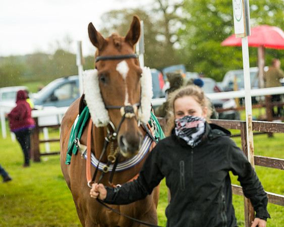 Race 5 - Restricted  (14 of 251)
