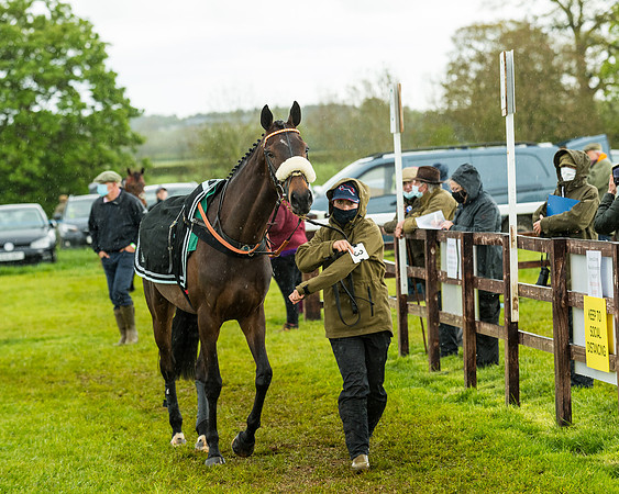 Race 5 - Restricted  (15 of 251)