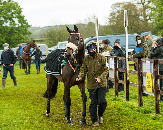 Race 5 - Restricted  (16 of 251)