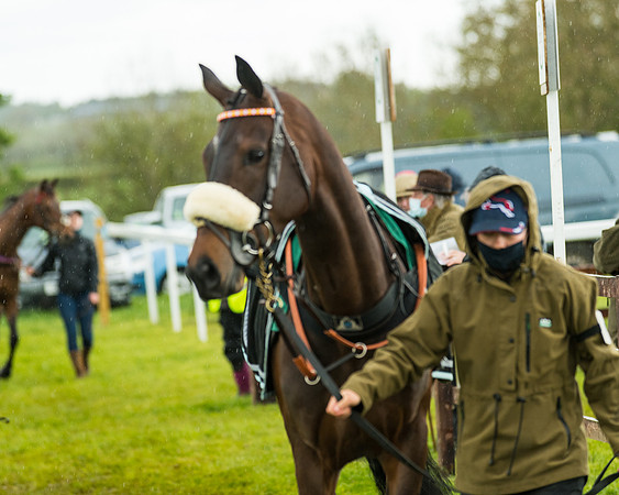 Race 5 - Restricted  (17 of 251)