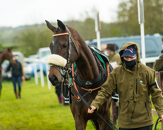 Race 5 - Restricted  (18 of 251)