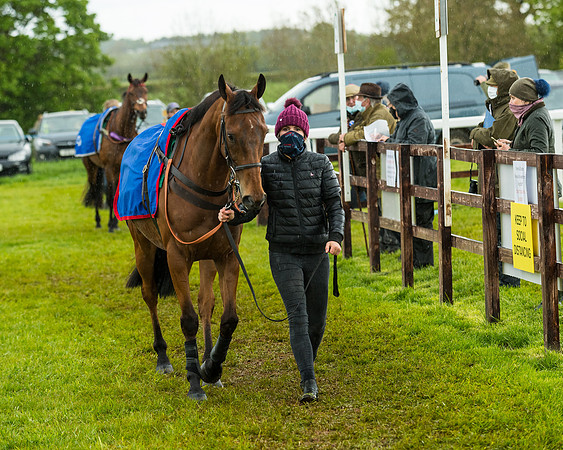 Race 5 - Restricted  (19 of 251)
