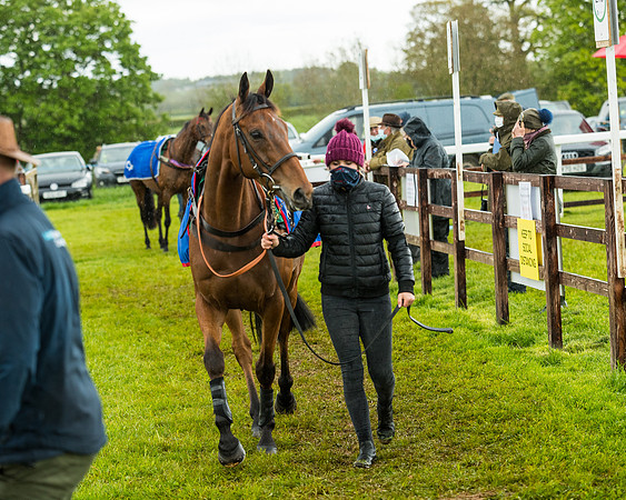 Race 5 - Restricted  (20 of 251)