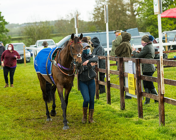 Race 5 - Restricted  (22 of 251)