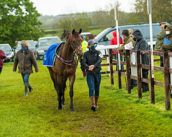 Race 5 - Restricted  (21 of 251)