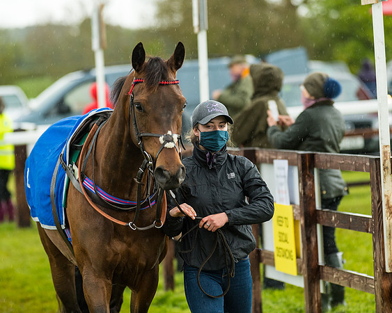 Race 5 - Restricted  (23 of 251)