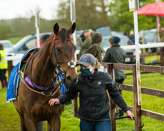 Race 5 - Restricted  (24 of 251)