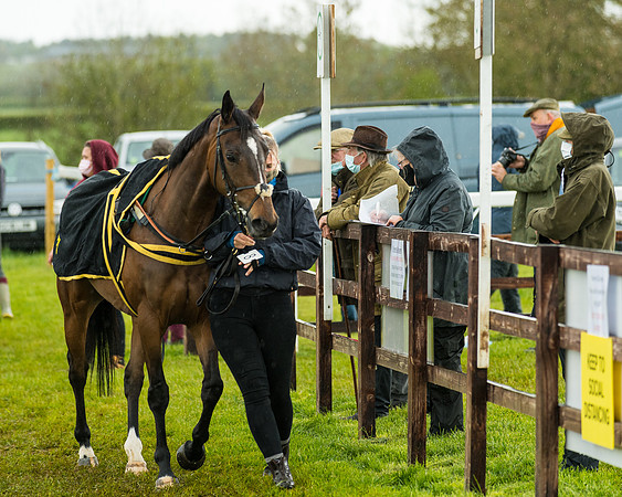 Race 5 - Restricted  (25 of 251)