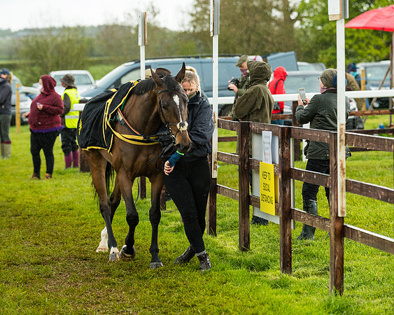 Race 5 - Restricted  (26 of 251)