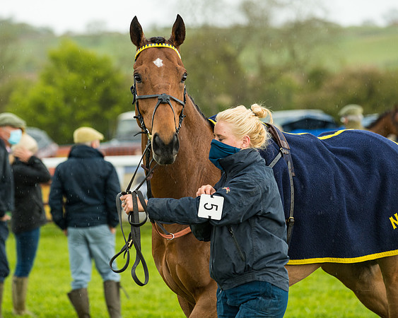 Race 5 - Restricted  (28 of 251)