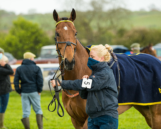 Race 5 - Restricted  (27 of 251)