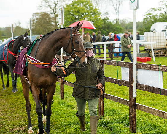 Race 5 - Restricted  (30 of 251)