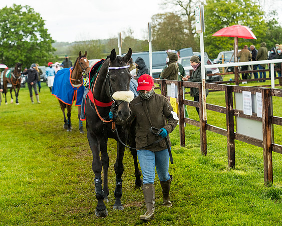Race 5 - Restricted  (31 of 251)