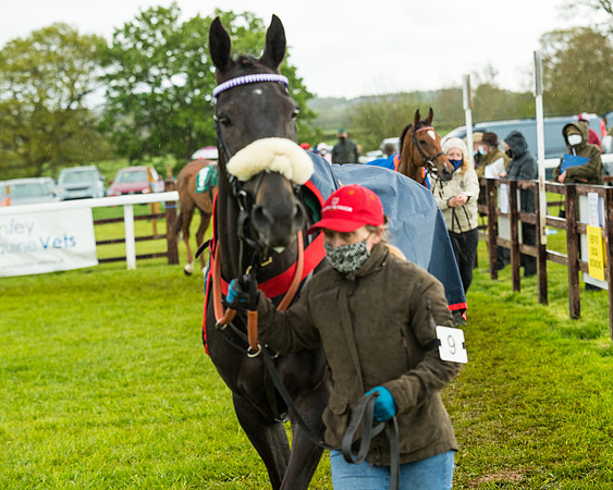 Race 5 - Restricted  (33 of 251)