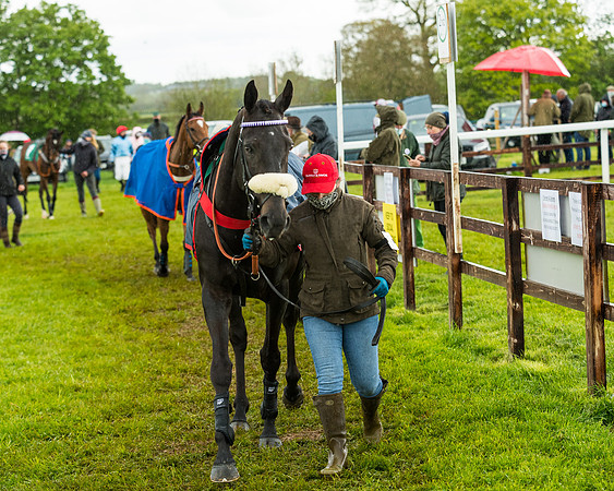 Race 5 - Restricted  (32 of 251)