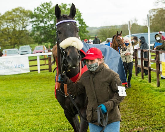 Race 5 - Restricted  (34 of 251)