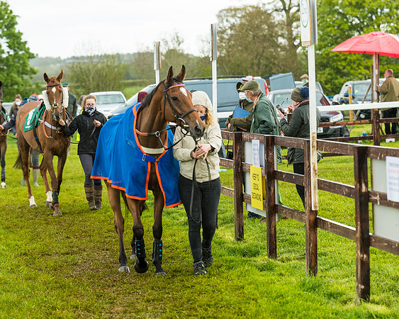 Race 5 - Restricted  (35 of 251)