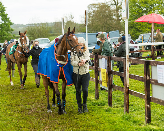 Race 5 - Restricted  (36 of 251)