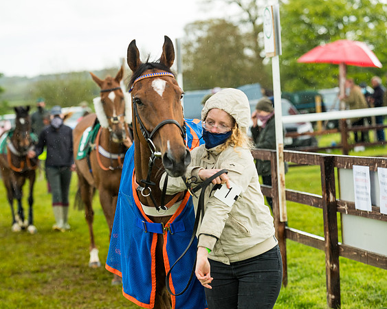 Race 5 - Restricted  (37 of 251)