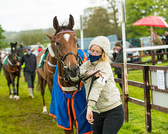 Race 5 - Restricted  (38 of 251)